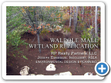 6.Walpole Mall Wetland Replication