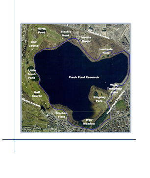 Fresh Pond Reservation Natural Resource Inventory and Stewardship Plan, Cambridge, MA
